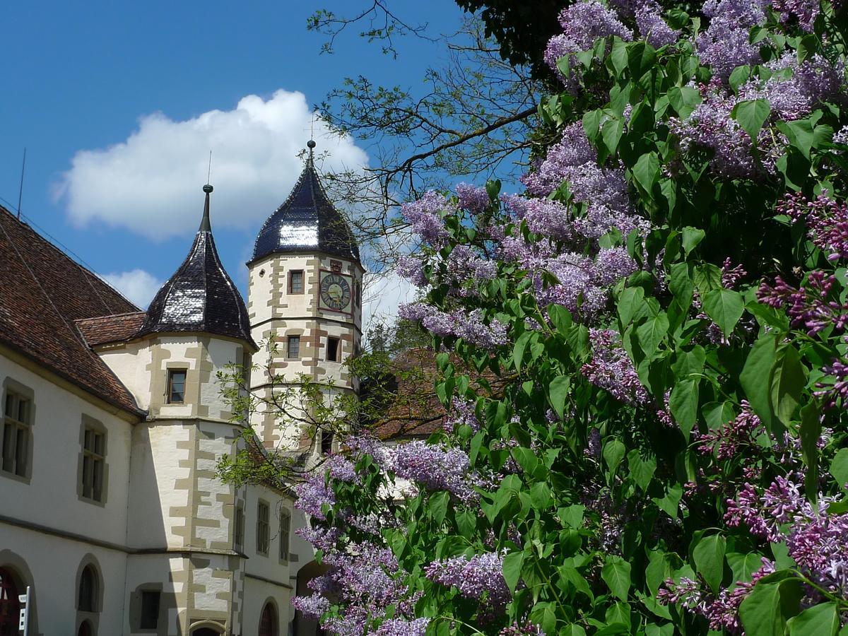 Schloss Haigerloch Kültér fotó