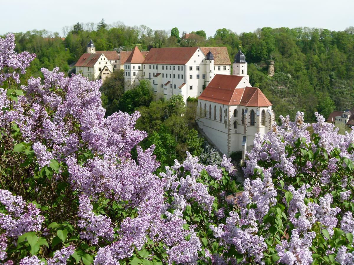 Schloss Haigerloch Kültér fotó